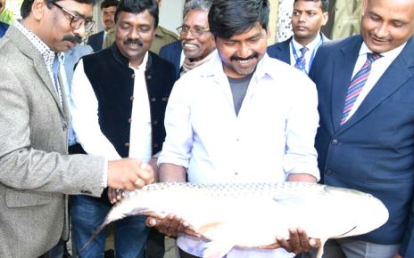 Kewat samaj gifted 15 kilogram rehu fish to cm Jharkhand